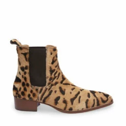 Top 10 🌟 SteveMadden DEX-P LEOPARD ⌛
