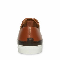 Wholesale ⌛ SteveMadden COLTT TAN LEATHER 🌟 -Steve Madden Shoes For Men Sales STEVEMADDEN CASUAL COLLT TAN BACK